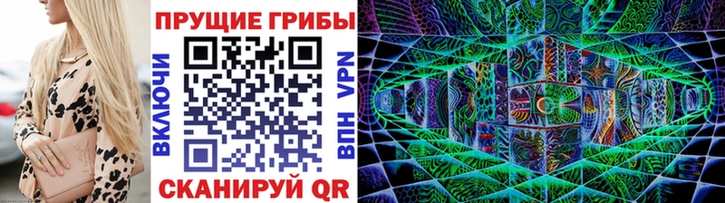 Псилоцибиновые грибы MAGIC MUSHROOMS  купить наркотики сайты  Лобня 